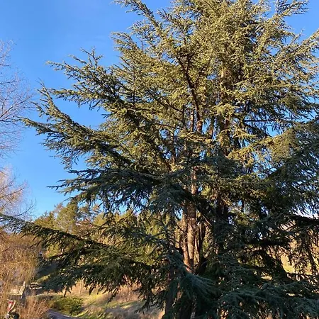 Le Courancon Appartement *