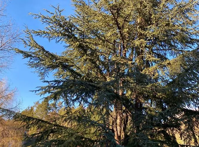 Le Courancon Apartman *